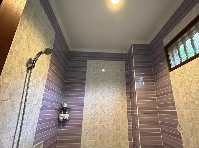 Damai Accommodatie bij particulieren Sidemen (Bali)